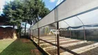 Foto 29 de Fazenda/Sítio com 2 Quartos à venda, 1200m² em Vila Fuck, Piraquara