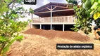 Foto 31 de Fazenda/Sítio à venda, 2134440m² em Lajedo Alto, Iaçu