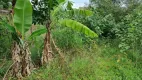 Foto 7 de Lote/Terreno à venda, 1000m² em Chácara Primavera, Campinas