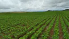 Foto 17 de Fazenda/Sítio com 8 Quartos à venda, 400m² em Zona Rural, Niquelândia