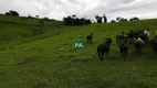 Foto 7 de Fazenda/Sítio com 1 Quarto à venda, 150000m² em Zona Rural, Campestre