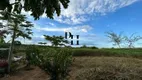 Foto 6 de Fazenda/Sítio com 3 Quartos à venda, 2500m² em Jardim Nossa Senhora do Perpetuo Socorro, Trindade