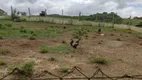 Foto 39 de Fazenda/Sítio com 3 Quartos à venda, 300m² em Faú, Miracatu