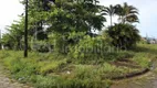 Foto 6 de Lote/Terreno à venda, 290m² em Jardim Beira Mar, Peruíbe