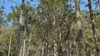 Foto 7 de Lote/Terreno à venda em Zona Rural, Urubici