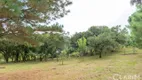 Foto 52 de Fazenda/Sítio com 3 Quartos à venda, 230m² em Botiatuva, Campo Largo