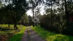 Foto 4 de Fazenda/Sítio com 3 Quartos à venda, 200m² em Parada Cristal, Caxias do Sul