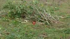 Foto 4 de Lote/Terreno à venda, 1527m² em Bairro do Barbosa, Alvorada do Sul