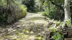 Foto 14 de Lote/Terreno à venda, 20000m² em Armação, Florianópolis