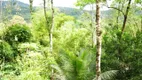 Foto 22 de Fazenda/Sítio com 3 Quartos à venda, 230m² em Corisco, Paraty