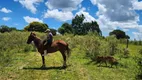 Foto 3 de Lote/Terreno à venda, 12100m² em Centro, Senador Amaral