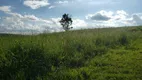 Foto 13 de Fazenda/Sítio com 3 Quartos à venda, 150m² em Zona Rural, Quadra