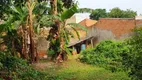 Foto 12 de Fazenda/Sítio com 2 Quartos à venda, 102m² em Jardim Planalto, Paulínia