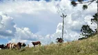 Foto 9 de Fazenda/Sítio com 4 Quartos à venda, 1000000m² em Perico, São Joaquim