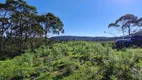 Foto 11 de Fazenda/Sítio à venda, 30000m² em Santa Tereza, Urubici