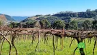 Foto 8 de Fazenda/Sítio à venda, 70000m² em Zona Rural, Monte Belo do Sul