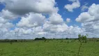 Foto 18 de Fazenda/Sítio à venda, 450000m² em , Jandaíra