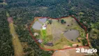 Foto 7 de Fazenda/Sítio com 8 Quartos à venda, 90000m² em Colônia Murici, São José dos Pinhais