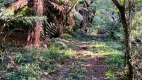 Foto 8 de Lote/Terreno à venda em Rural, Rio Rufino