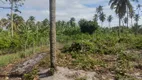 Foto 11 de Fazenda/Sítio com 3 Quartos à venda, 5000m² em Centro, Rio do Fogo