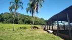 Foto 9 de Fazenda/Sítio com 4 Quartos à venda, 55m² em Zona Rural, Pontalina