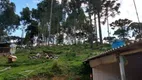 Foto 7 de Fazenda/Sítio com 2 Quartos à venda, 12000m² em Matulão, Tijucas do Sul