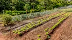 Foto 9 de Lote/Terreno à venda, 420m² em PORTAL DO SOL GREEN, Goiânia