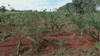 Foto 5 de Fazenda/Sítio à venda, 19m² em Chacaras Sao Pedro, Aparecida de Goiânia