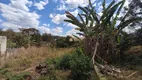 Foto 30 de Fazenda/Sítio com 4 Quartos à venda, 4000m² em Novo Retiro, Esmeraldas
