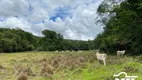 Foto 6 de Fazenda/Sítio à venda em Zona Rural, São Miguel do Passa Quatro