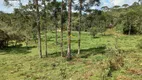 Foto 5 de Fazenda/Sítio à venda, 20000m² em Centro, Rio Rufino