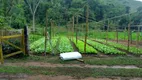 Foto 15 de Fazenda/Sítio com 3 Quartos à venda, 290400m² em Zona Rural, Simão Pereira