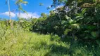 Foto 43 de Fazenda/Sítio com 5 Quartos à venda, 310m² em América de Cima, Morretes