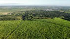 Foto 23 de Fazenda/Sítio com 4 Quartos à venda, 700000000m² em Zona Rural, Canguaretama