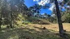 Foto 20 de Fazenda/Sítio com 3 Quartos à venda, 60000m² em Centro, Gonçalves