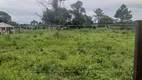 Foto 3 de Fazenda/Sítio com 2 Quartos à venda, 44000m² em Cotia, São José dos Pinhais