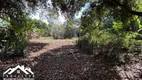 Foto 8 de Fazenda/Sítio com 3 Quartos à venda, 250m² em Chácara Boa Vista da Graminha, Limeira