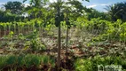 Foto 10 de Fazenda/Sítio com 3 Quartos à venda, 5000m² em , Santa Fé