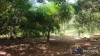 Foto 14 de Fazenda/Sítio com 4 Quartos à venda, 288000m² em Zona Rural, Piracanjuba