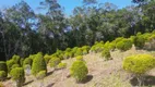 Foto 28 de Fazenda/Sítio com 2 Quartos à venda, 300000m² em Zona Rural, Pariquera-Açu