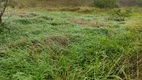 Foto 5 de Fazenda/Sítio com 3 Quartos à venda, 150000m² em Centro, Lagoa de Pedras