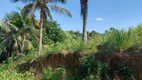 Foto 31 de Fazenda/Sítio à venda, 72000m² em Agro Brasil Sambaetiba, Itaboraí