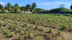 Foto 30 de Fazenda/Sítio com 4 Quartos à venda, 130m² em Zona Rural, São José de Mipibu