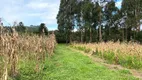 Foto 3 de Lote/Terreno à venda, 300m² em Campo do Meio, Campo Largo