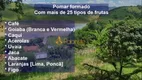 Foto 4 de Fazenda/Sítio com 3 Quartos à venda, 31000m² em Zona Rural , Redenção da Serra