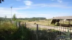 Foto 44 de Fazenda/Sítio à venda, 16500m² em Area Rural de Sao Carlos, São Carlos