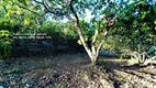 Foto 30 de Fazenda/Sítio com 3 Quartos à venda, 6000m² em Zona Rural, Iranduba