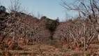 Foto 10 de Lote/Terreno à venda, 800m² em Mato Queimado, Gramado