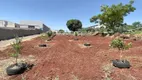 Foto 3 de Lote/Terreno à venda, 2853m² em Vila Oliveira, Rolândia