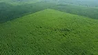 Foto 9 de Fazenda/Sítio com 10 Quartos à venda, 15763m² em Centro, São João do Paraíso